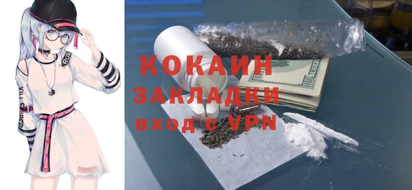ГАЛЛЮЦИНОГЕННЫЕ ГРИБЫ Семёнов