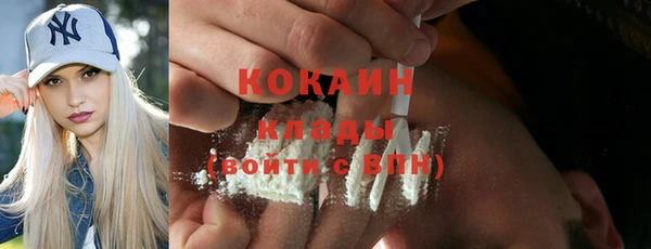 ГАЛЛЮЦИНОГЕННЫЕ ГРИБЫ Семёнов