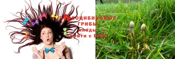 ГАЛЛЮЦИНОГЕННЫЕ ГРИБЫ Семёнов