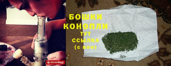 ГАЛЛЮЦИНОГЕННЫЕ ГРИБЫ Семёнов