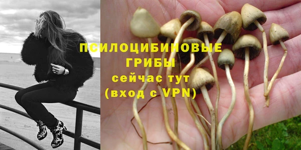ГАЛЛЮЦИНОГЕННЫЕ ГРИБЫ Семёнов