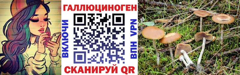 Галлюциногенные грибы мухоморы  OMG ONION  Соль-Илецк 