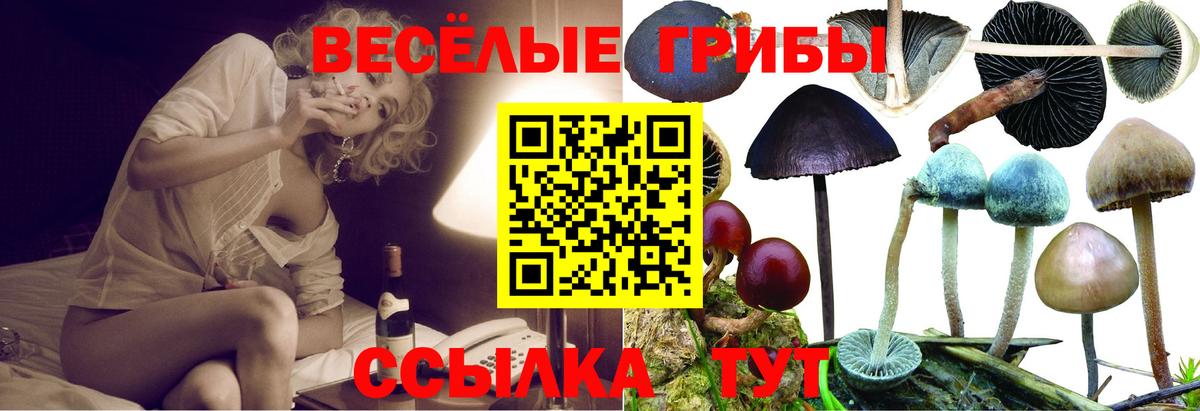 Соль-Илецк  Псилоцибиновые грибы ЛСД  Вход с VPN 